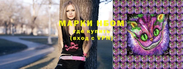 дживик Инта