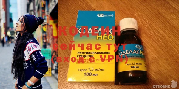 дживик Инта