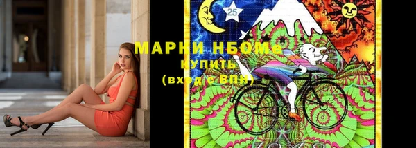 дживик Инта