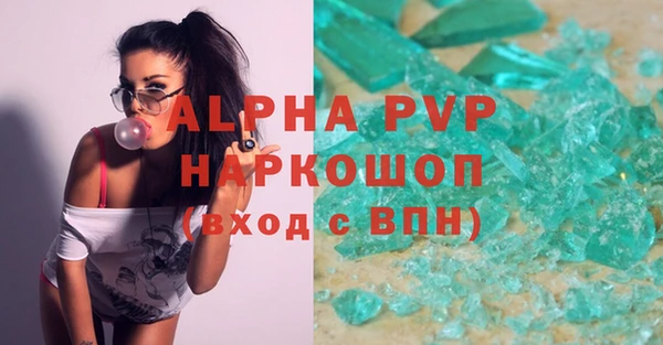 дживик Инта