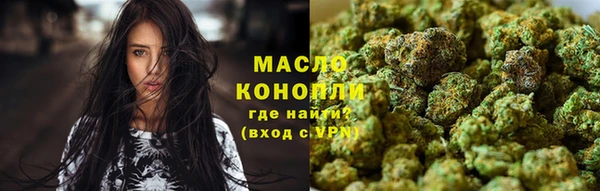 дживик Инта